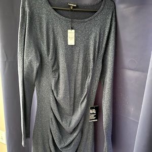 BRAND NEW WITH TAGS! Express Navy Sparkly Long Sleeve Fitted Dress.